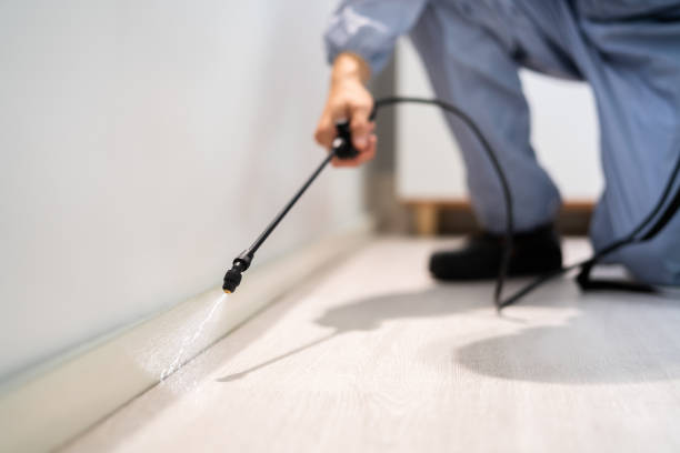 Licensed Pest Control service in Canton, NC - Show Me Pest Control