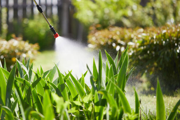 24/7 Emergency Mosquito Control experts in Canton, NC
