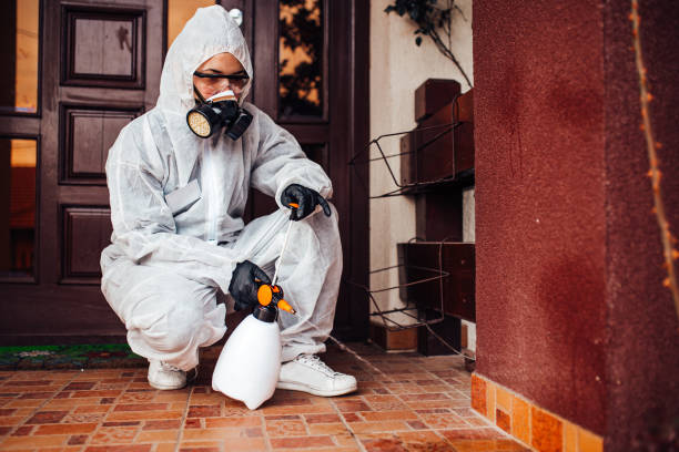 Reliable Mosquito Control contractor in Canton, NC by Show Me Pest Control